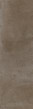 Плитка Тракай коричневый светлый глянцевый 8,5х28,5(9039)