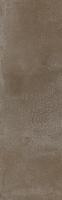 Плитка Тракай коричневый светлый глянцевый 8,5х28,5 (9039)