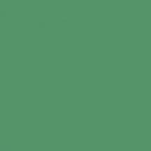 Керамогранит Радуга зеленый обрезной 60х60 (SG618500R)