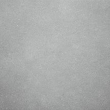 Керамогранит Дайсен светло-серый обрезной 60х60 (SG610300R)
