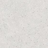 Керамогранит Терраццо серый светлый обрезной 60х60  (SG632400R)