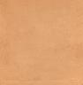 Плитка Капри оранжевый 20х20 (5238 N)