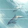 Панно Искья Дельфины обрезной 75х75 (HGD\A55\3x\12093R)